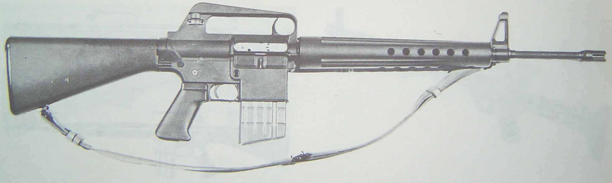 AR-10